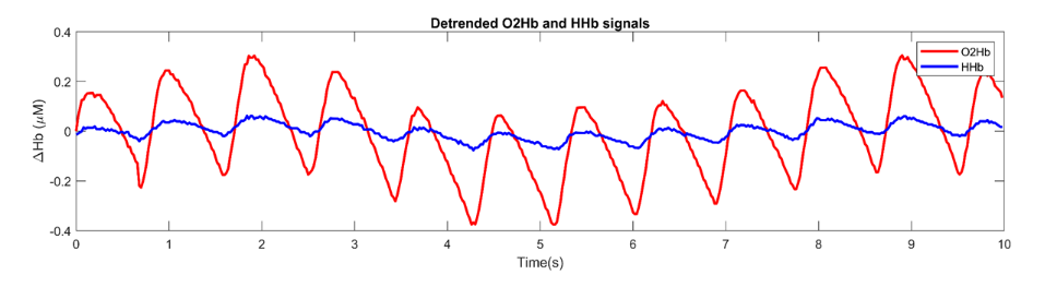 A segment of an fNIRS measurement